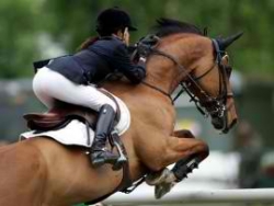 La location de carrière de course des trotteurs